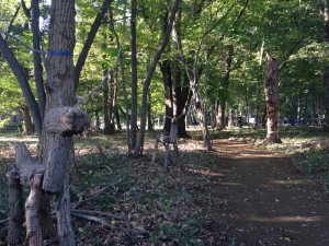 雑木林リサイズ１