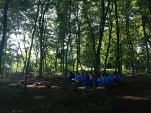 雑木林リサイズ２